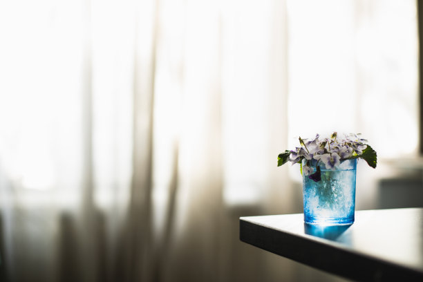 简单的装饰理念，在检疫期间带回家色彩图片下载