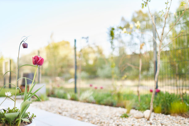 现代城市花园的各种照片，详细的花和花园家具的图片图片下载