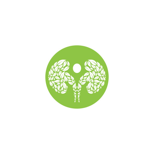 肾标志矢量模板图标符号图片下载