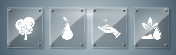 置浇水植物芽于手中图片下载