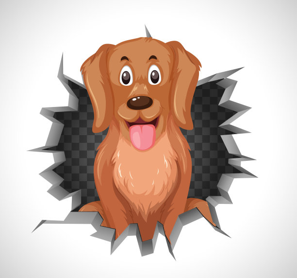 可爱的狗从裂墙里出来图片下载