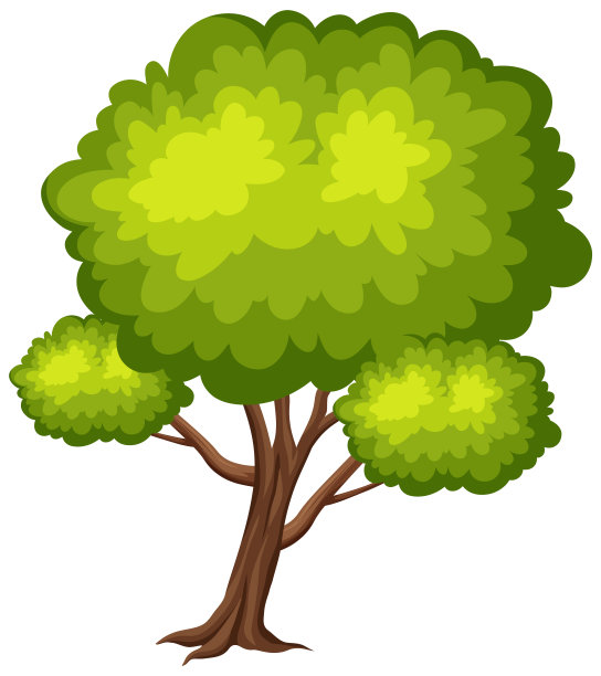 白色背景上的一棵大树图片下载