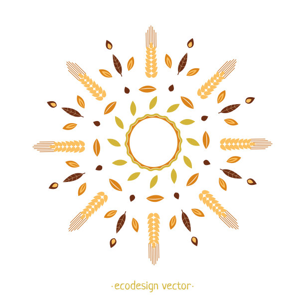 向量装饰从小麦穗叶和种子。生态设计圆形图案。图片下载