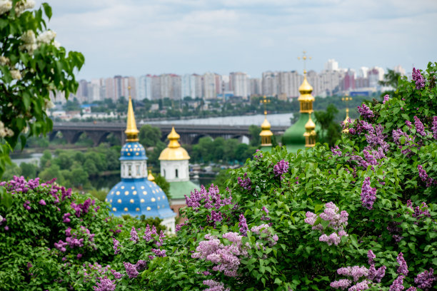 乌克兰基辅圣约纳斯三一修道院在春天的丁香花中旅行欧洲图片下载
