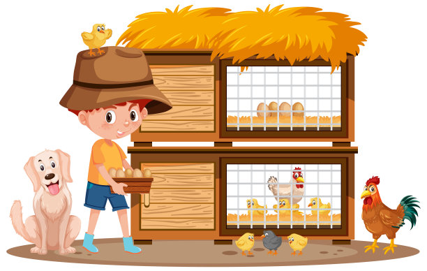 小男孩在白色的背景上收集鸡蛋图片下载