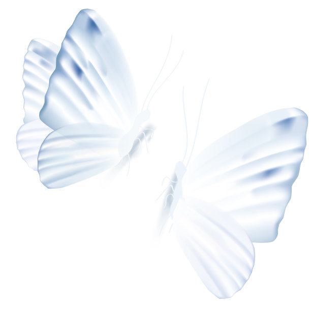 矢量插图的两个浅蓝色的蝴蝶图片下载