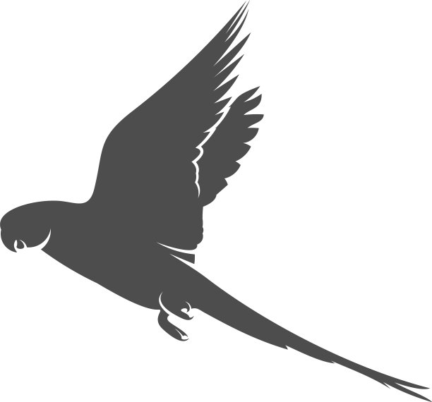 鹦鹉标志图标设计鹦鹉标志模板图片下载