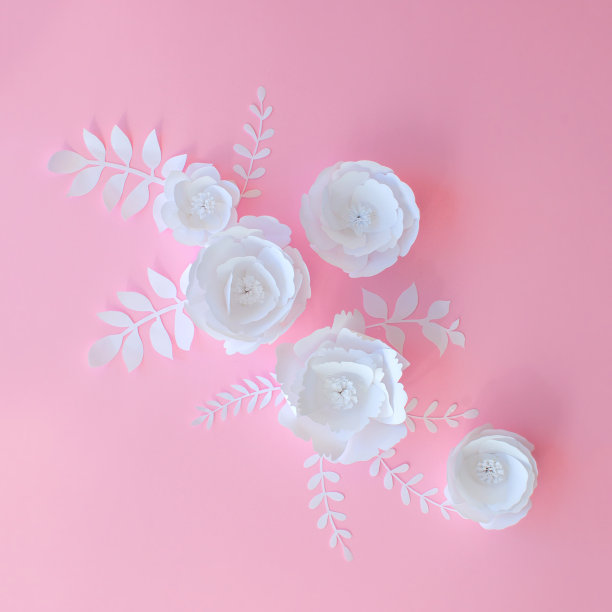 一套剪纸花。图片下载