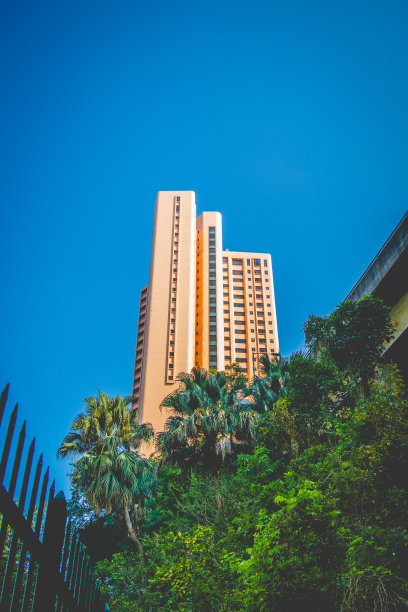 香港的现代建筑，色调柔和，天空湛蓝，棕榈树环绕。图片下载