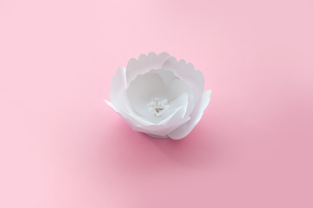 粉红色背景上的纸艺术花。图片下载