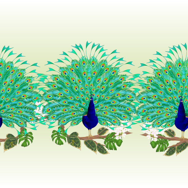 水平边框无缝背景孔雀图片下载