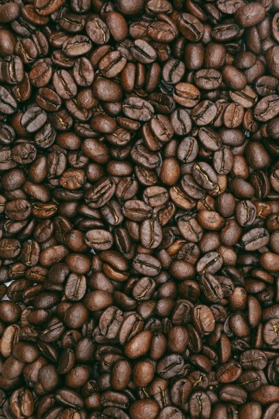 带背景的烘焙咖啡豆素材图片
