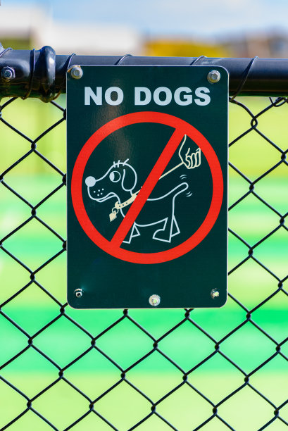 没有狗图片下载