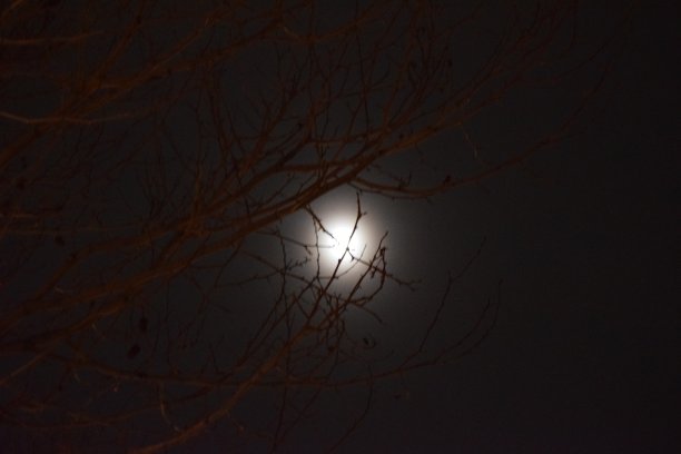 万圣节之夜图片下载