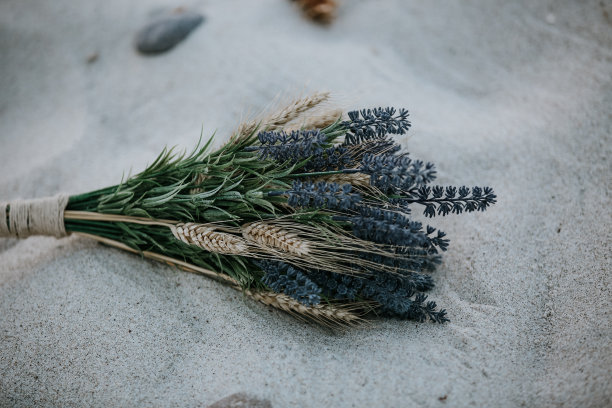 乡村婚礼花在海滩股票照片图片下载