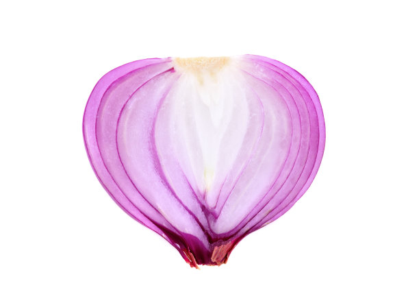 青葱和洋葱孤立在白色上图片下载