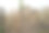 覆盆子种植园图片下载
