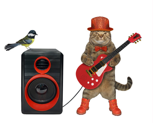 猫音乐家与红色吉他图片下载
