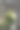 澳大利亚悉尼帕丁顿水库花园的砖拱门图片下载