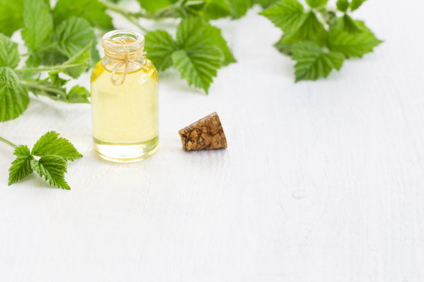玻璃瓶的荨麻精油与新鲜的荨麻细枝和叶子在白色木质背景，草药油概念(荨麻)图片下载