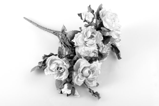 塑料花图片下载