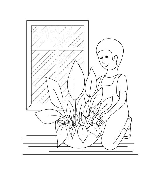 照料室内植物。图片下载