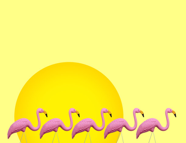 装饰的粉红色火烈鸟前面的太阳和黄色的背景图片下载
