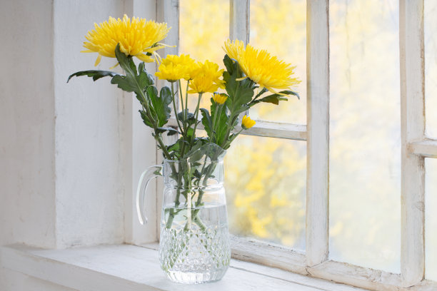 夕阳下，白色窗台上的黄花图片下载