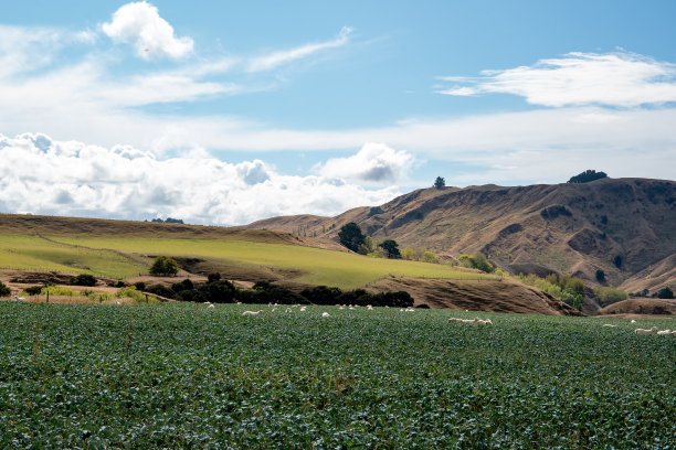 层的性质图片下载