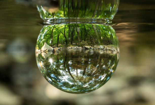 森林里清澈的河水像水晶球一样。自然的未来。图片下载