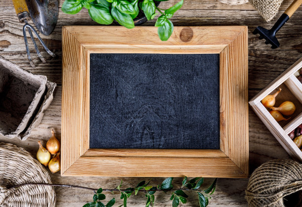 园艺种植。有园艺工具的静物画图片下载