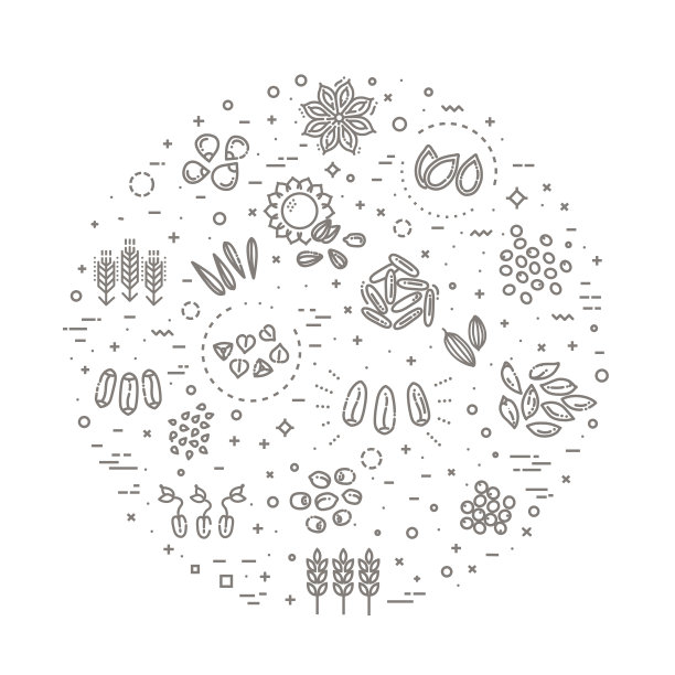 植物种子矢量图标集图片下载