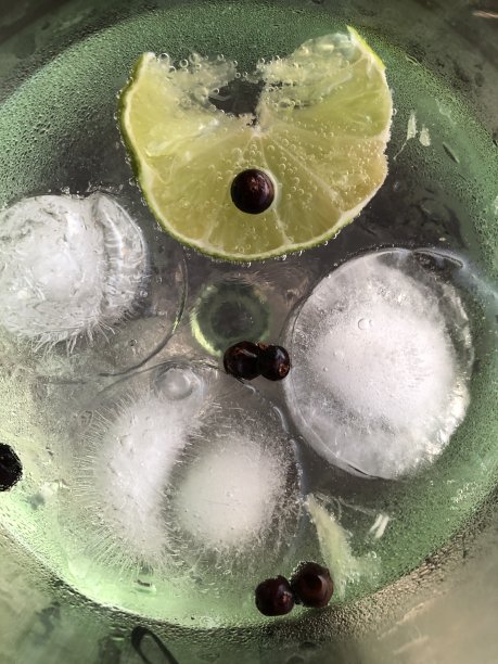 新鲜的杜松子酒图片下载