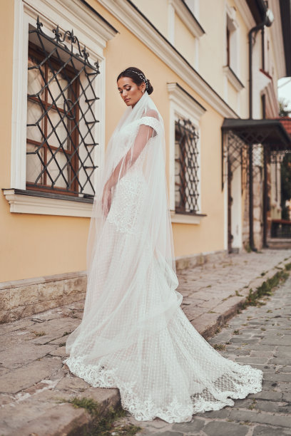 新娘在古老的欧洲城市的背景婚纱图片下载