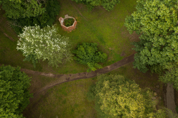 无人机的老公园与道路和树木图片下载