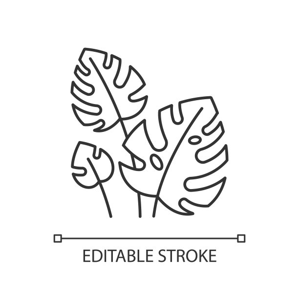 Monstera留下线性图标。热带森林葡萄。瑞士奶酪工厂。印度尼西亚奇异的丛林植物群。细线说明。轮廓的象征。矢量孤立轮廓绘制。可编辑的中风图片下载
