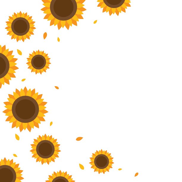 向日葵的背景图片下载