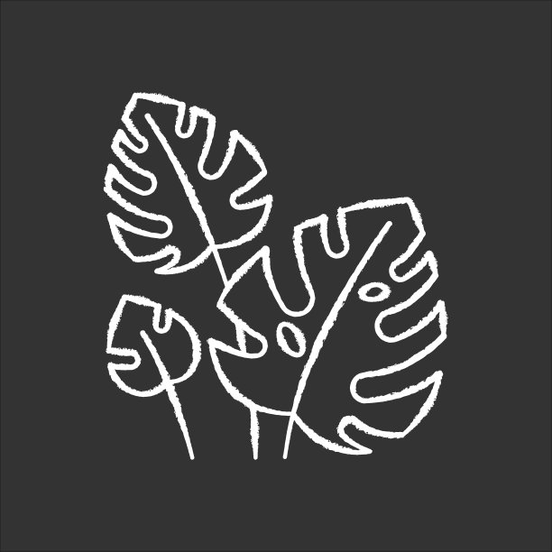 怪兽留下粉笔图标。常绿热带森林藤本植物。瑞士奶酪工厂。发现巴厘岛的本性。印尼奇异的植物。探索丛林植物。孤立矢量黑板插图图片下载