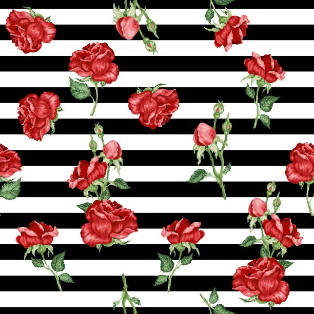矢量插图与玫瑰和条纹图片下载