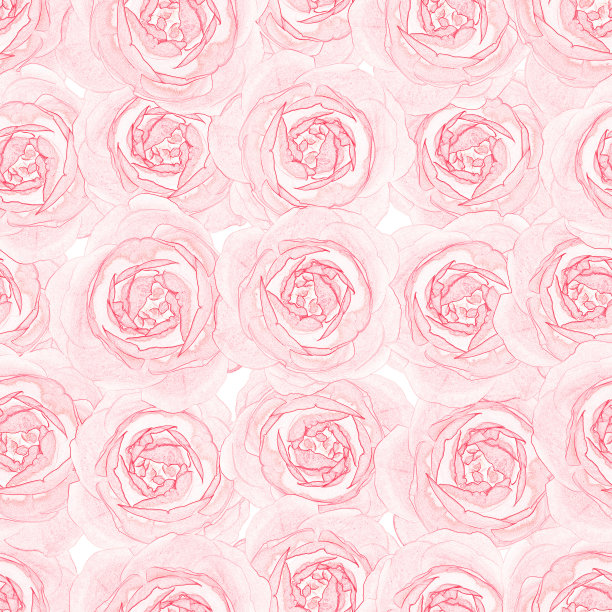 优雅无缝玫瑰图案图片下载