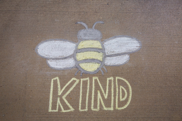 用粉笔画的蜜蜂-蜜蜂善良-善良图片下载