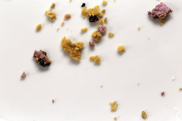 白色盘子上的蓝莓芝士蛋糕碎屑图片下载