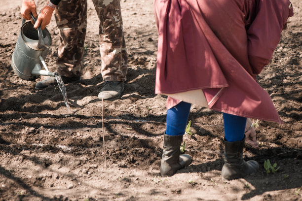 农民播种和浇水图片下载
