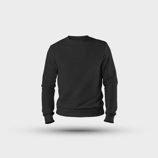 立式套衫模板3D渲染，正面视图，男性空白运动衫，用于展示设计和广告在网上商店。图片下载