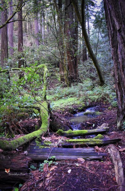 秘密通道图片下载