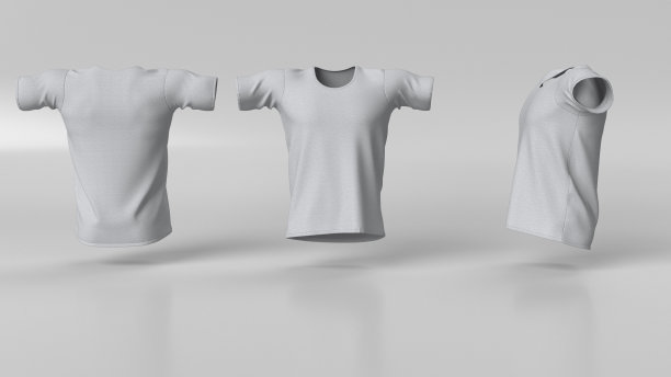 男士T恤干净的空模板，样板设计，标志图片下载