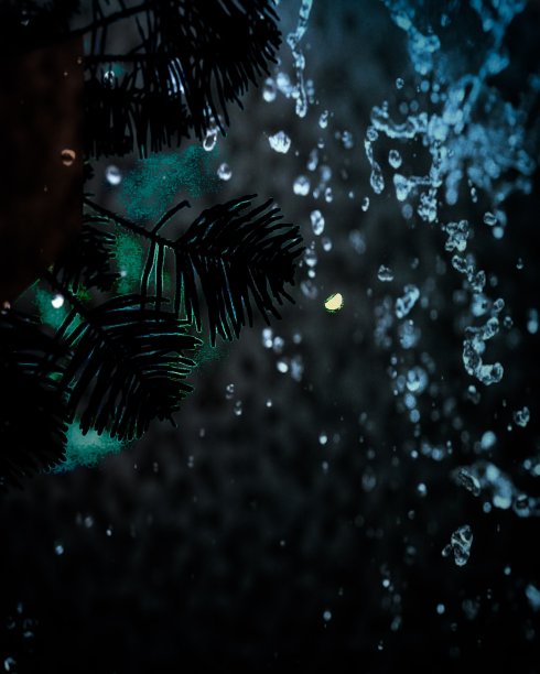 爱的本质,摄影图片下载