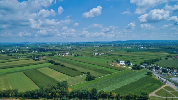 蓝天下的夏季农田鸟瞰图图片下载