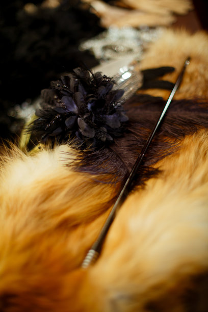 黑色缎面珠宝，黑色羽毛和珠子图片下载