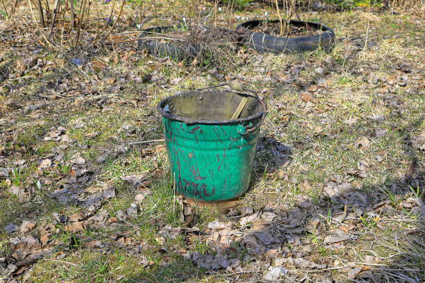 旧金属桶在花园里的草地上的落叶之间图片下载